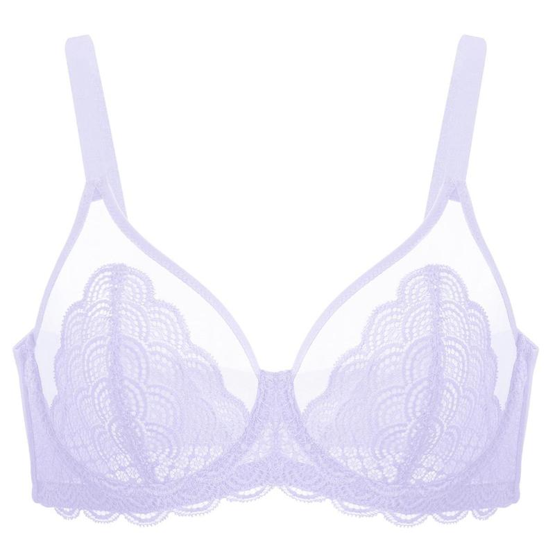 Live HSIA Mermaid Scales Plus Size Lace Mesh Unlined Full Coverage Underwire Bra